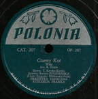 Czarny kot (? – Kryska-Karski)