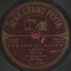 Czyściciel butów