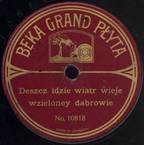 Deszcz idzie, wiatr wieje w zielonej dąbrowie