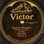 Jesienne marzenia (Joyce – ?)