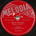 Moja gitara