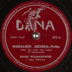Niedaleko jeziora