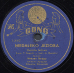 Niedaleko jeziora