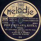 Pies z kulawą kotką