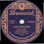 Pod pantoflem