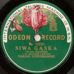 Siwa gąska