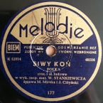 Siwy koń