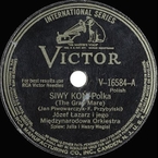 Siwy koń