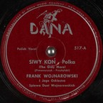 Siwy koń