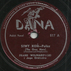 Siwy koń