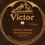 Słomiany wdowiec (Ludwikowski)
