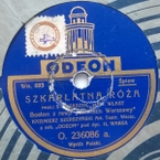 Szkarłatna róża