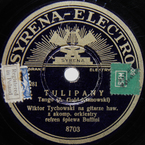 Tulipany (A. Gold – Kranowski)
