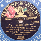Ty i moja gitara