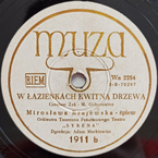 W Łazienkach kwitną drzewa