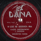 W lesie na jagodach