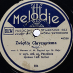 Zwiędła chryzantema