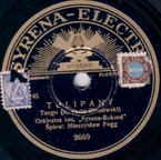 Tulipany (A. Gold – Kranowski)
