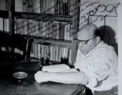Stefan Sas (1976 r.) Stefan Sas (1976 r.)